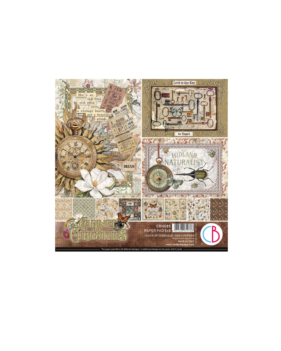 Cabinet of Curiosities 8x8 Paper Pad