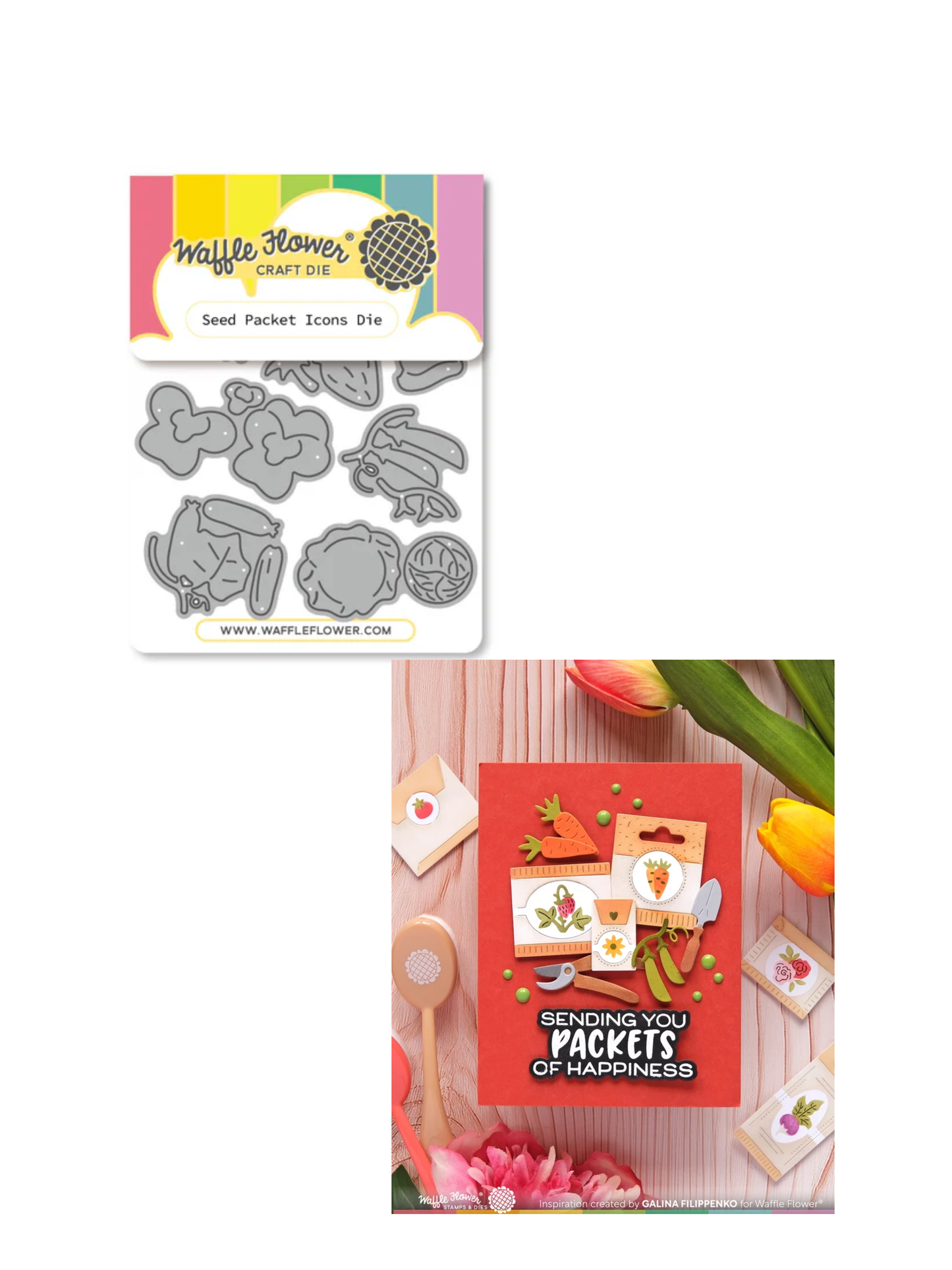 Seed Packet Icon Die