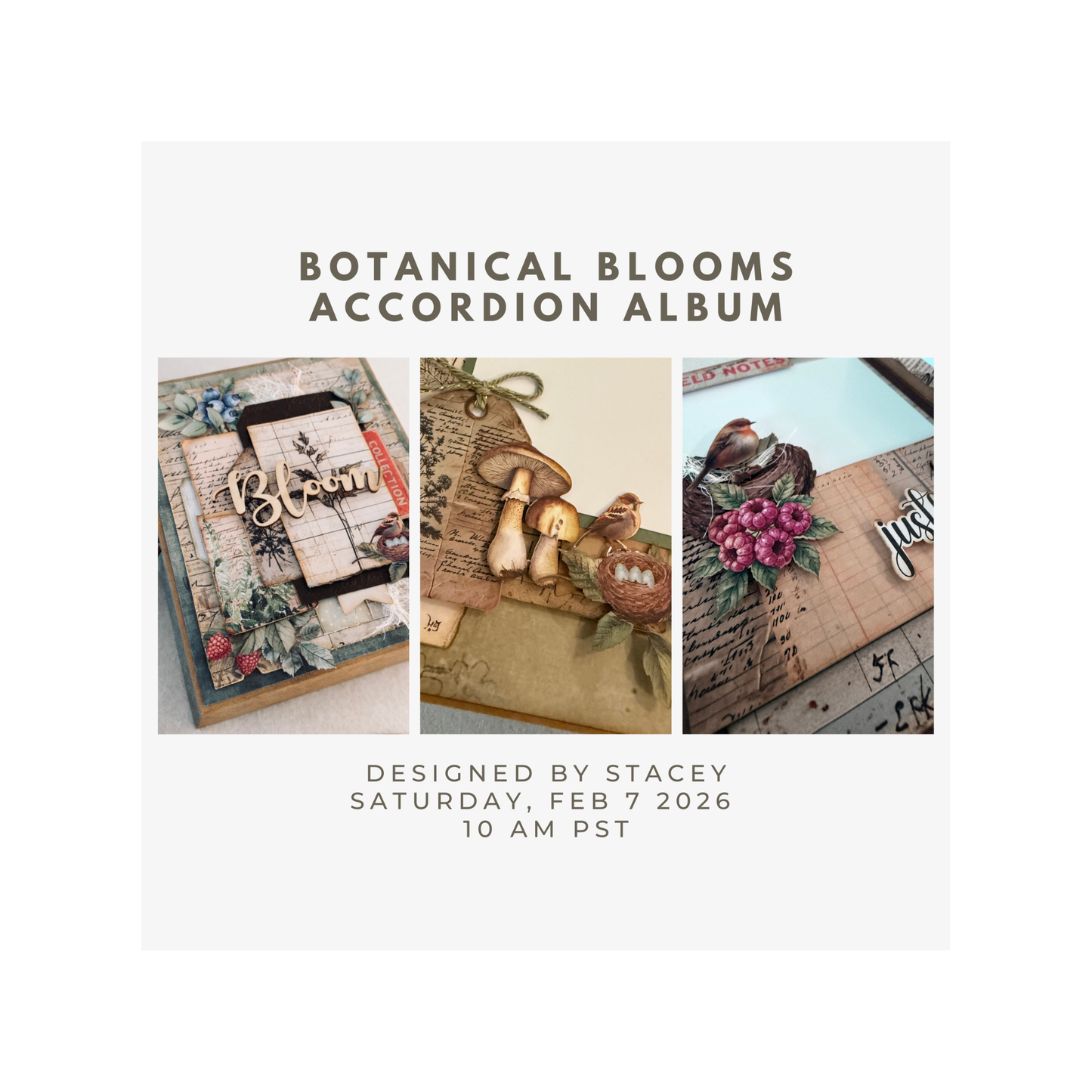 Botanical Bloom Accordion Album Class