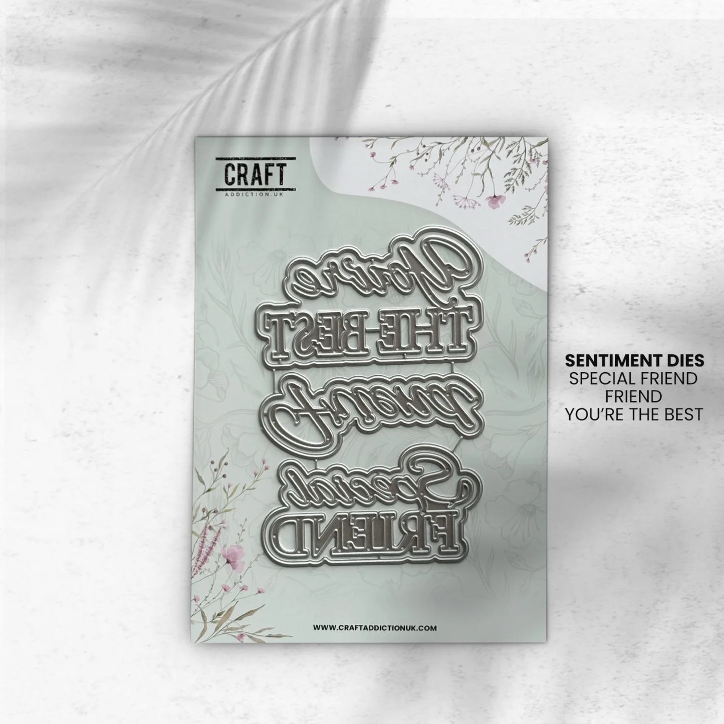 Friend Sentiments Die