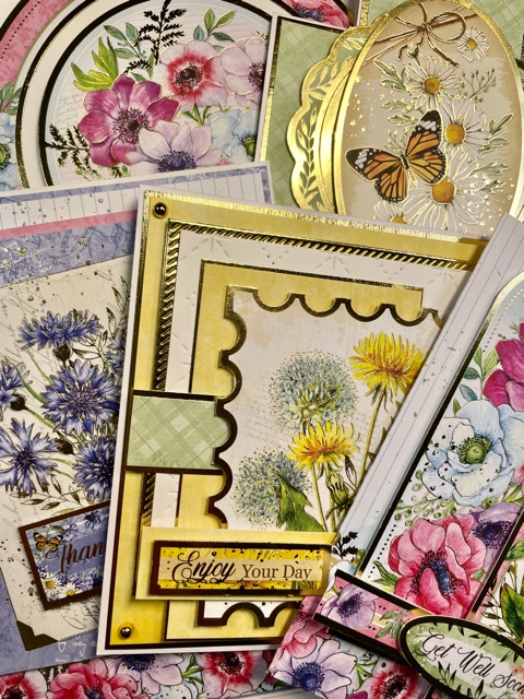 Wild for Flowers Card Class