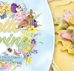 Spring 3-D Cards--please call store to register.